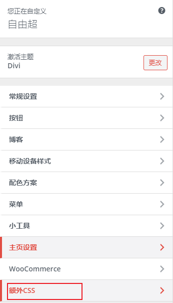 DIVI主题01-如何解决DIVI主题网站中文字体、图标乱码问题? 5 image 16