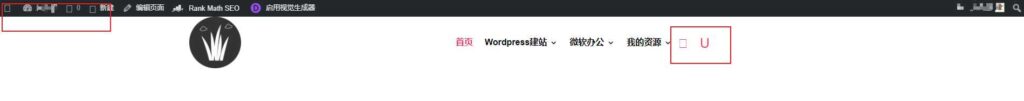 DIVI主题01-如何解决DIVI主题网站中文字体、图标乱码问题? 1 site luanma