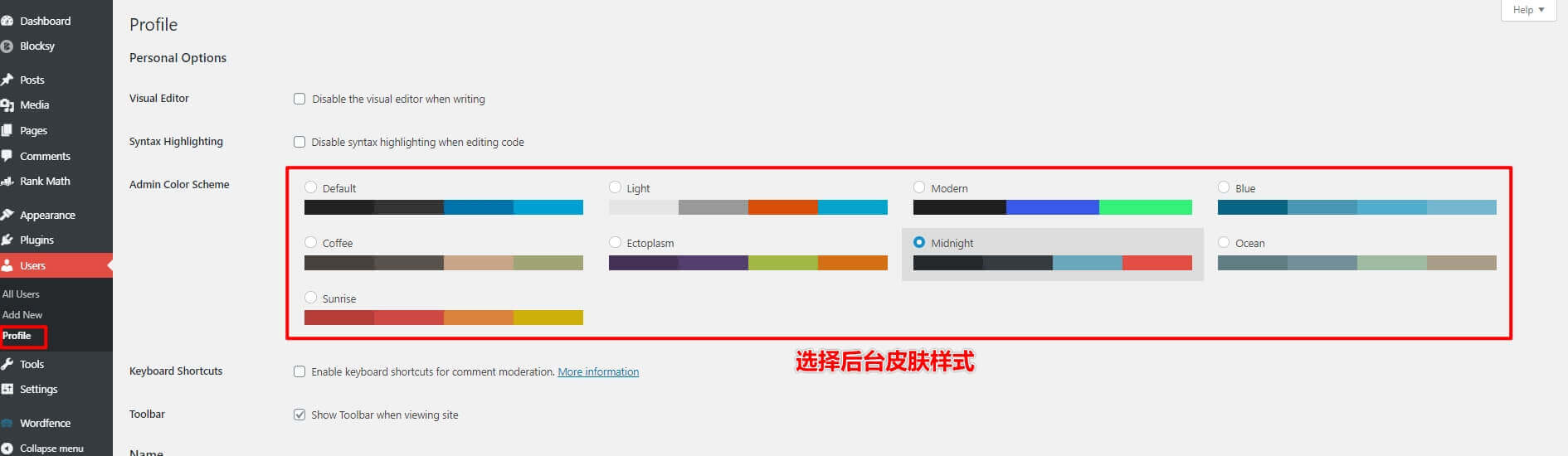 WordPress网站安装后常见基本设置 8 wordpress安装后常见设置-后台管理界面配色方案